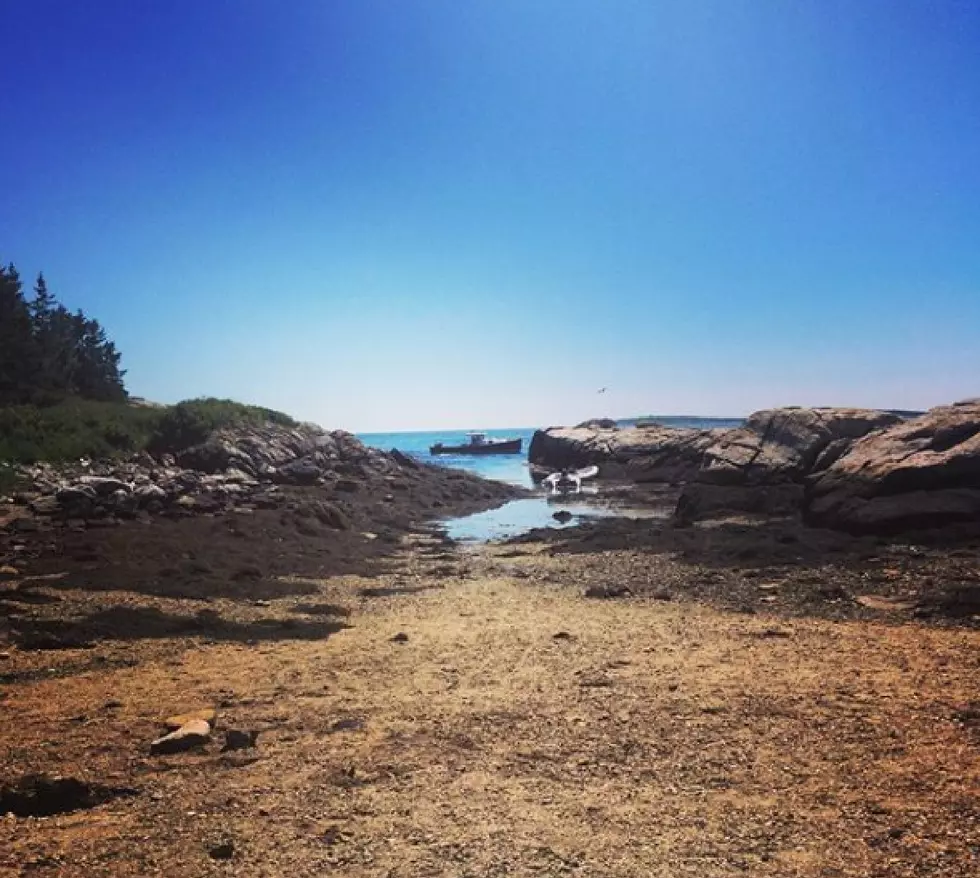 A Remote Island In Maine May Be Home To Ancient Buried Treasure