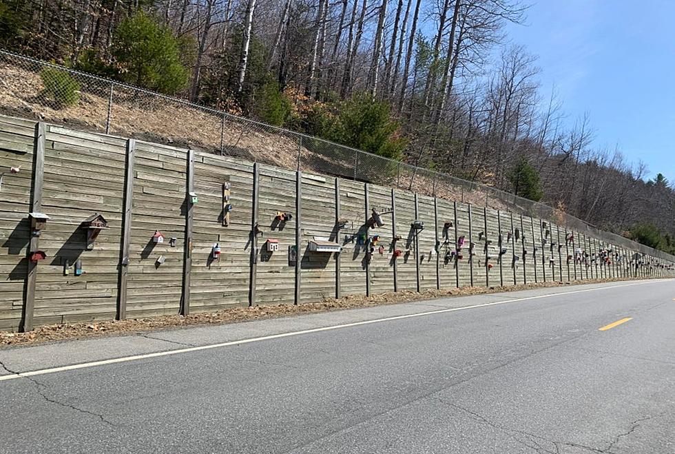 Have You Seen This Giant Wall Of Birdhouses In Maine?