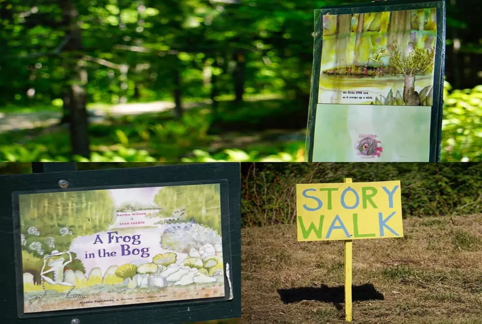 Take Your Family On A Free 1-Mile Long Storybook Walk In Maine