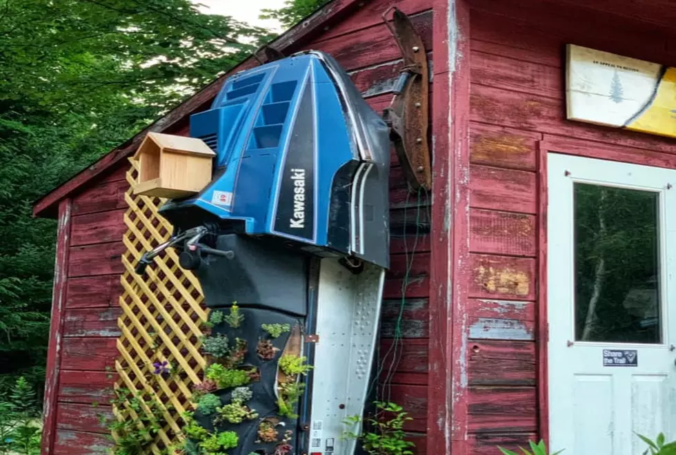 Only In Maine: Old Snowmobile Used To Create A Backyard Birdhouse