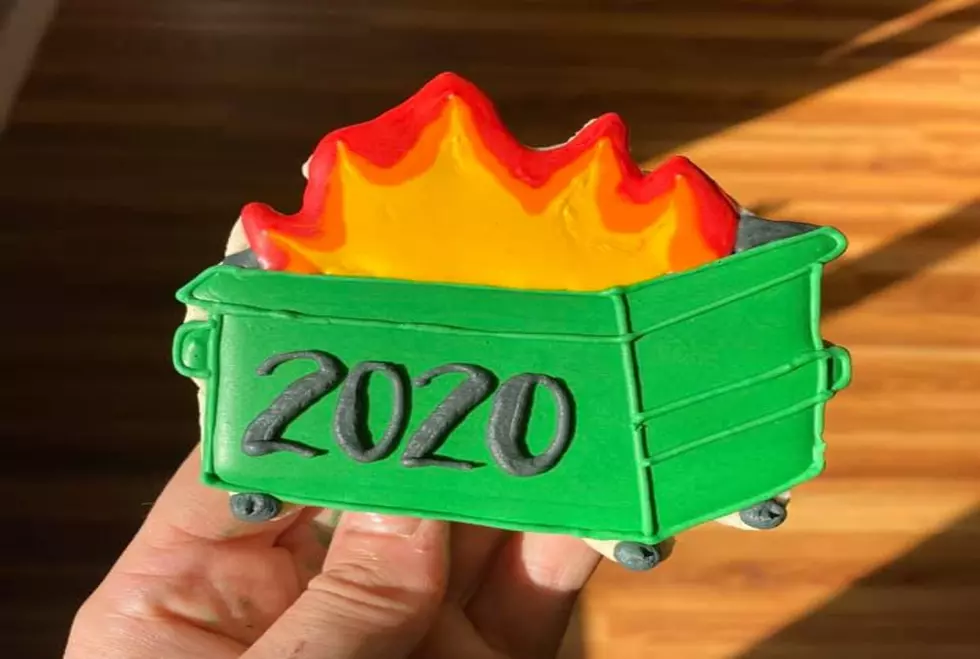 A Bakery In Maine Has Dumpster Fire Cookies For Your Perfect 2020 Treat