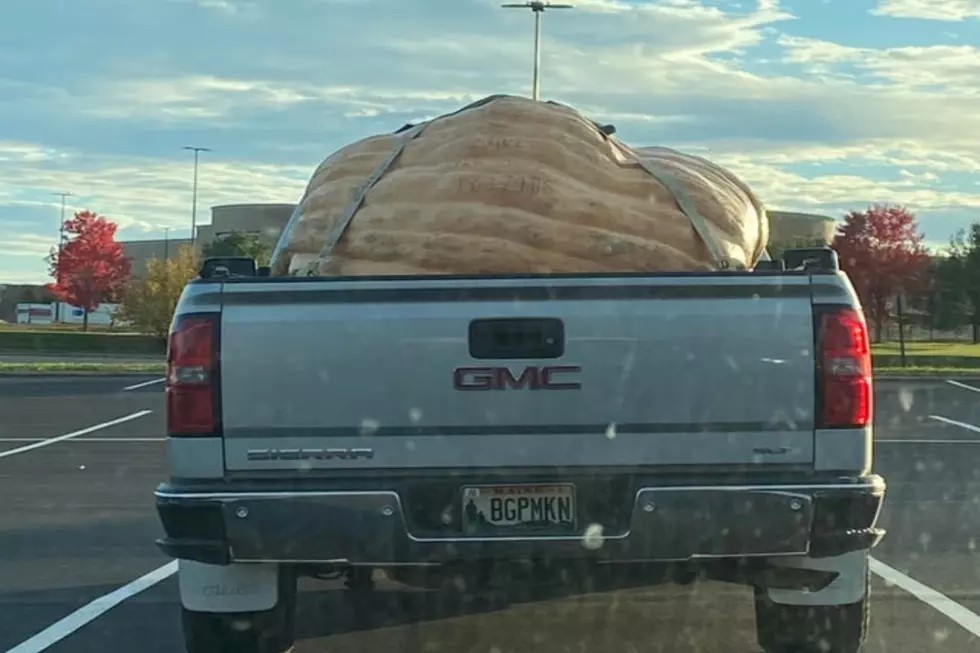 A Monster Pumpkin In Maine Is Being Hauled By The Absolute Perfect Vehicle