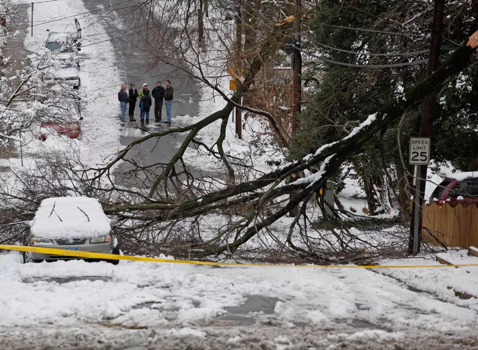 Potential Wind Storm On Xmas Day Could Be A Grinch For Maine