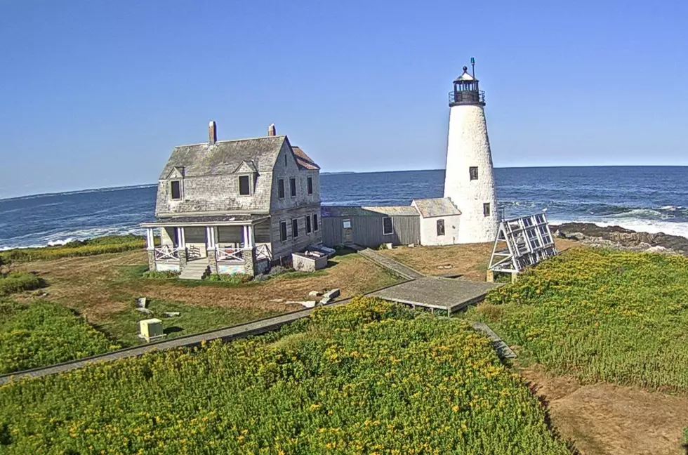 A Dog Became Famous for Ringing the Bell at This Biddeford, Maine, Lighthouse More Than a Century Ago