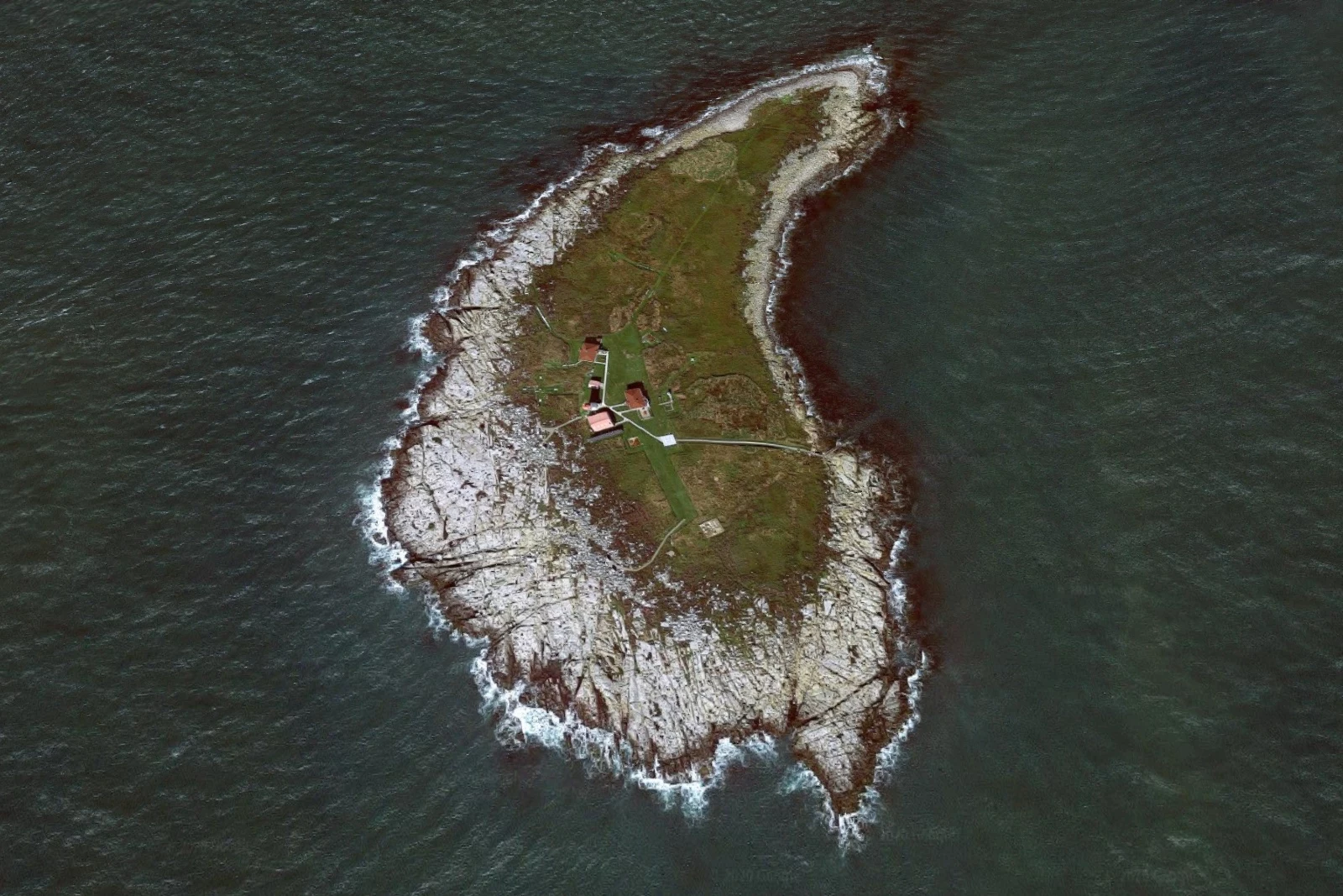 Machias Seal Island 
