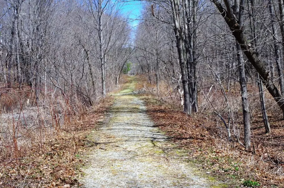 A Small Maine Town is Surrounded by One of the Most Haunted Forests in the World