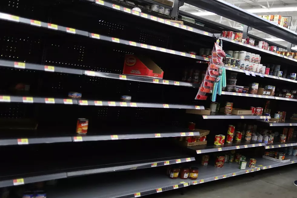 Where Is All The Canned Cat Food On Grocery Store Shelves In Maine?