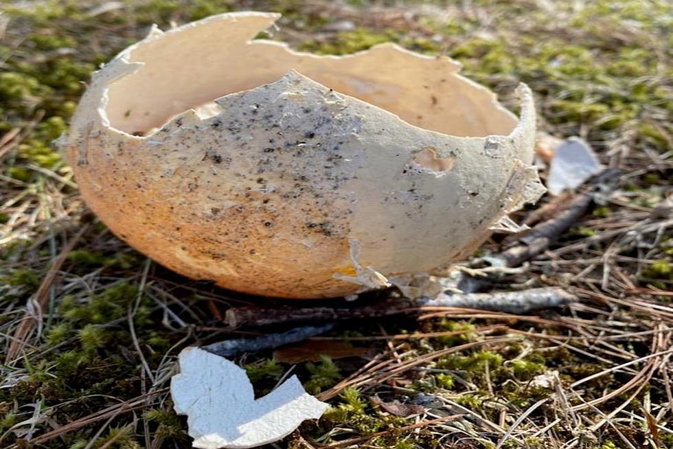 What Is This Thing Found In A Maine Cemetery?