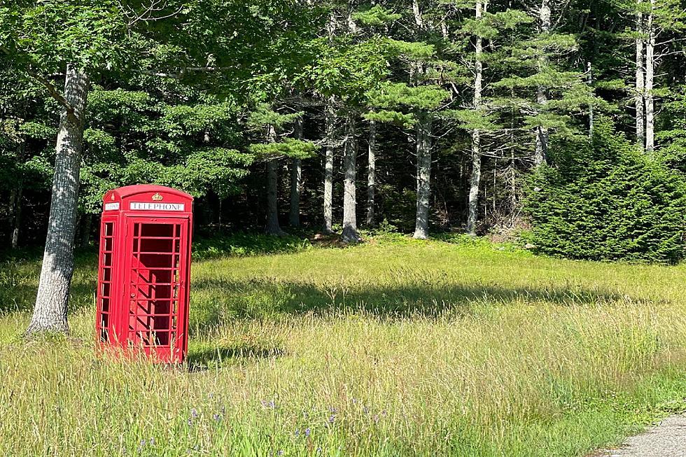 A British-Style Red Telephone Booth Is Randomly Sitting In An Edgecomb, Maine Field