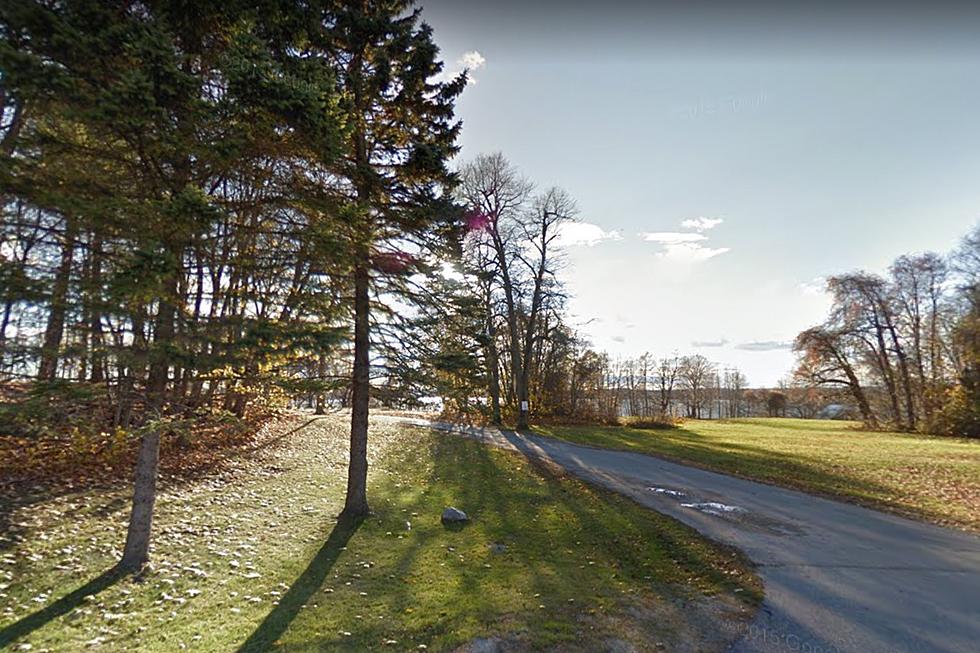 A Short Hike on a Maine Island Leads to a Real-Life Pet Cemetery