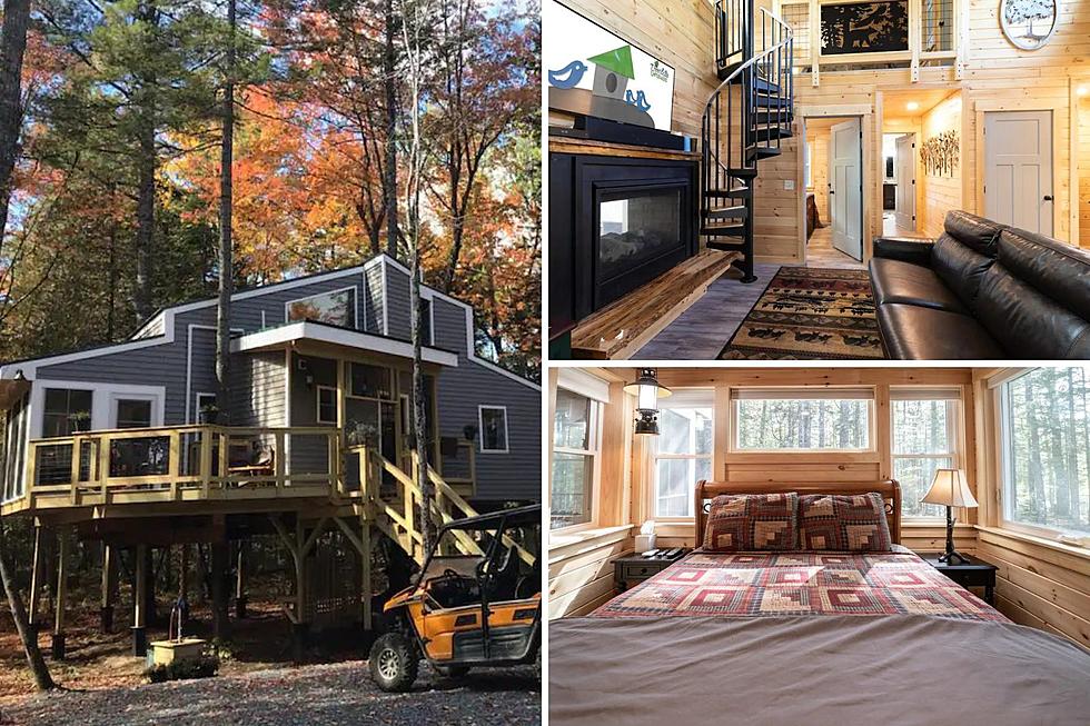 Luxurious Treehouse Near Bar Harbor is Stunning and for Rent