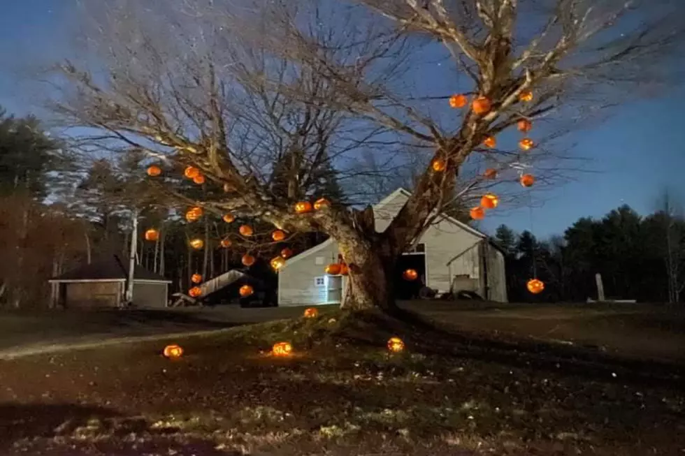 Stroll Through a Trail Filled with Hundreds of Carved, Lit-Up Pumpkins in Maine