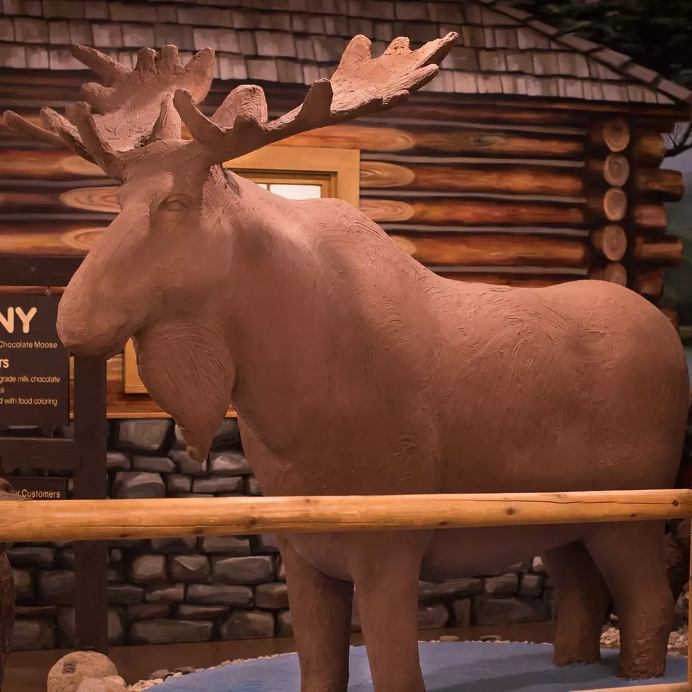 The World’s Only Life-Size 1,700-Pound Chocolate Moose is in Maine