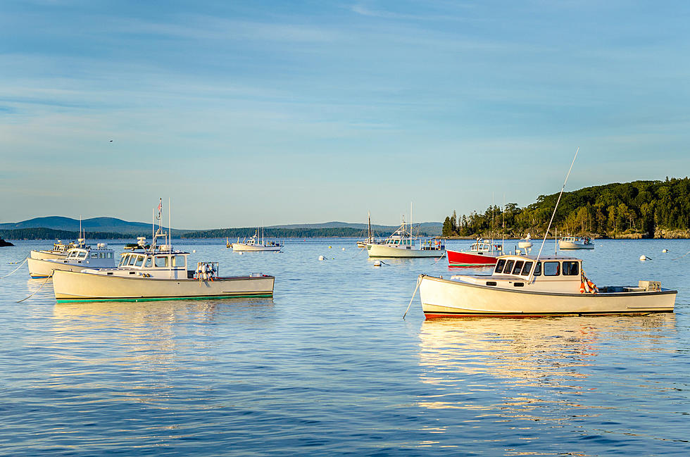 Tourist Hotspot Named 'Coolest' Town in Maine