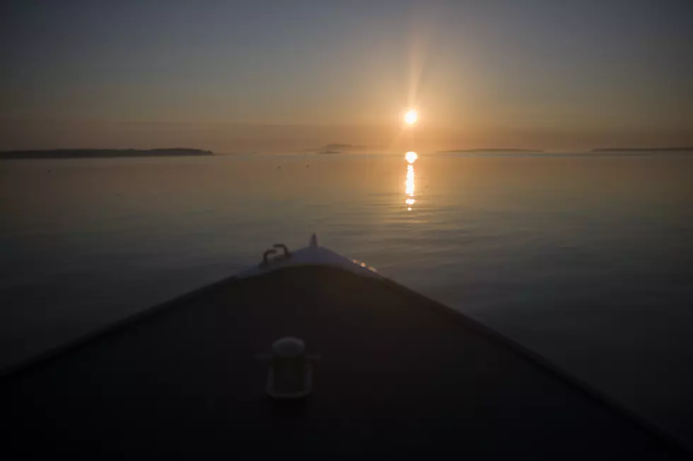 Maine's Lobster Industry Benefits From Rising Ocean Temperatures