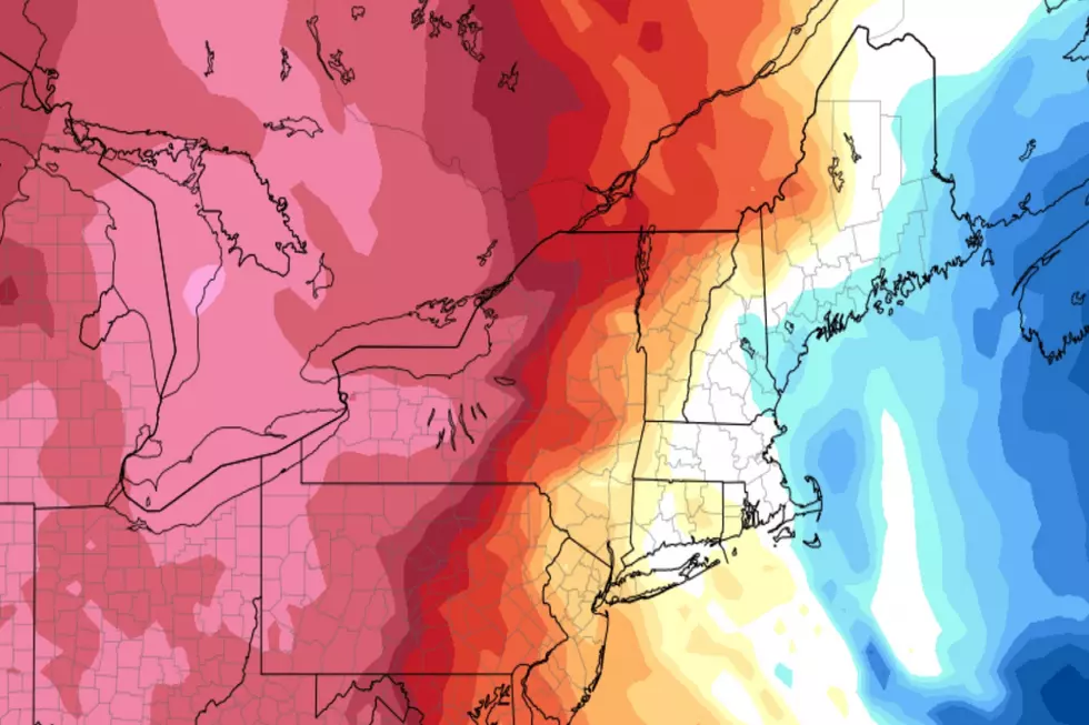 No Winter in Sight for Maine as Forecast Promises Abnormal Warmth and Rain