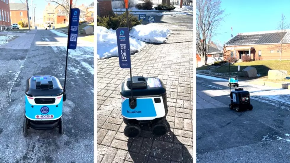 Blue and White Robots Spotted Roaming South Portland, Maine