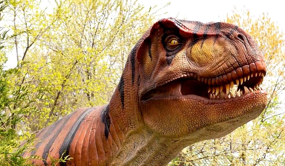 See Over 50 Life-Size Dinosaurs at This New England Zoo