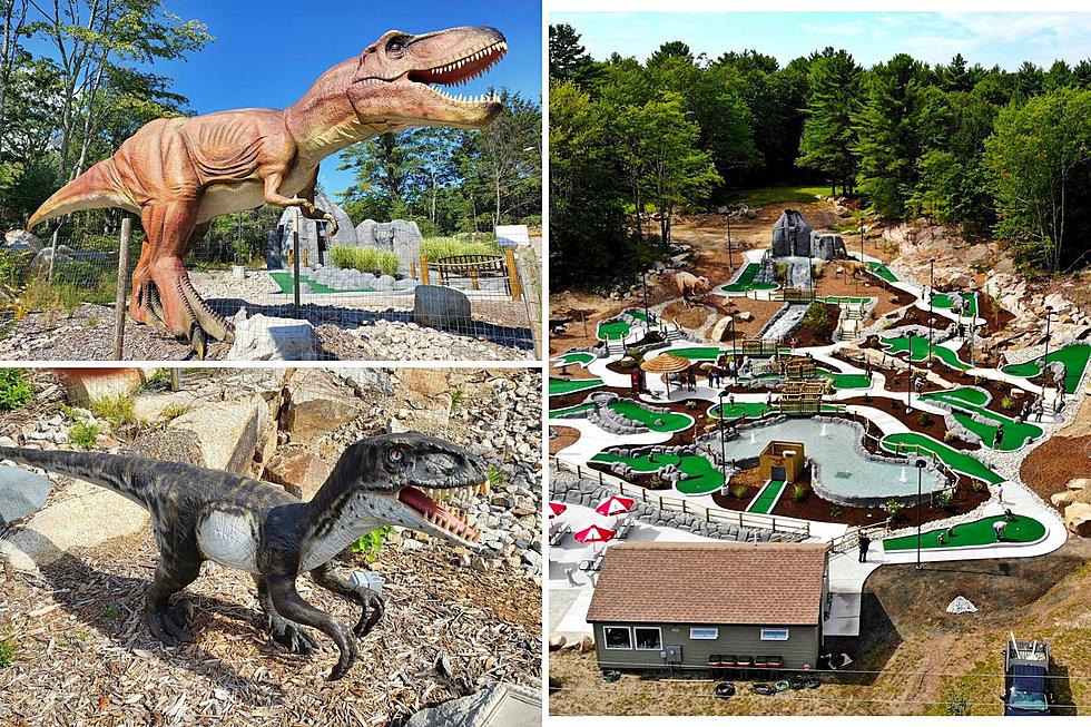 Dinosaurs and Mini Golf: Raptor Falls in Maine Sets Opening Date