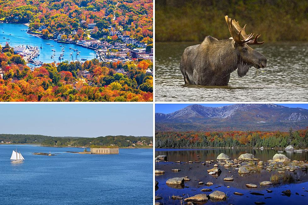 New Report Excitingly Suggests Maine is One of the Greenest States in the Nation