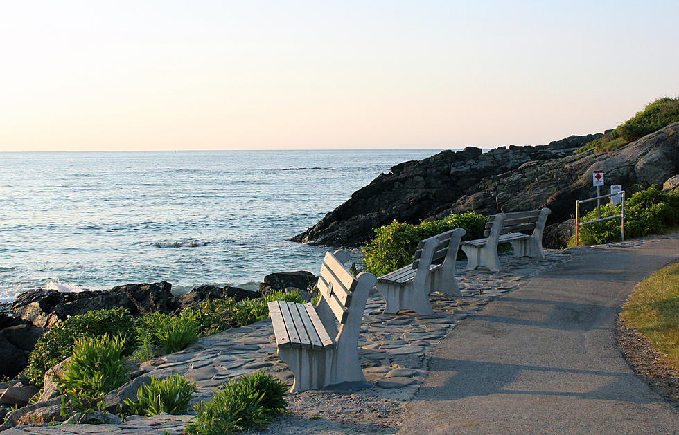 Gorgeous Cliff Walk is the Highest-Rated Free Activity in Maine