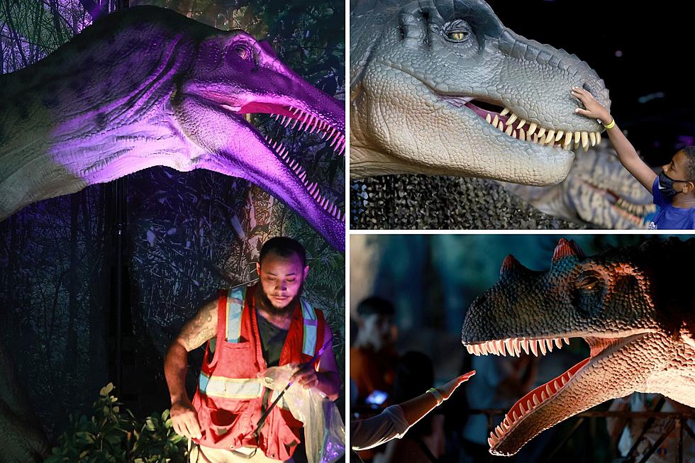 Life-Sized Dinosaurs Invade Portland for 4 Days This August