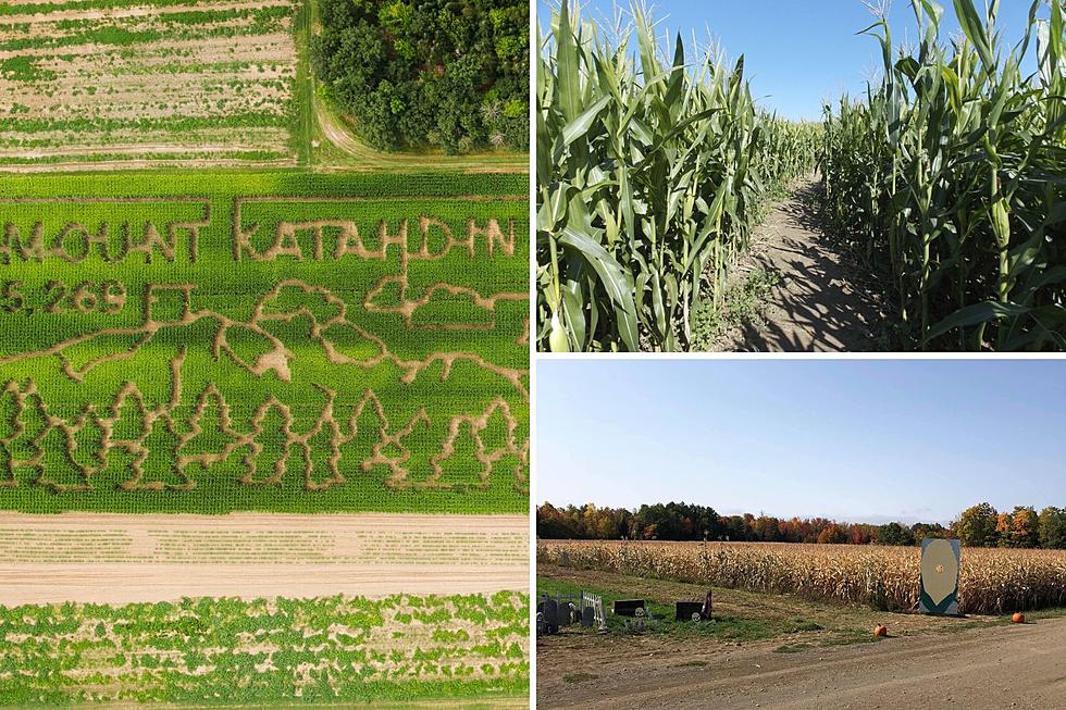 Six-Acre Corn Maze in Corinna, Maine, Celebrates Mount Katahdin