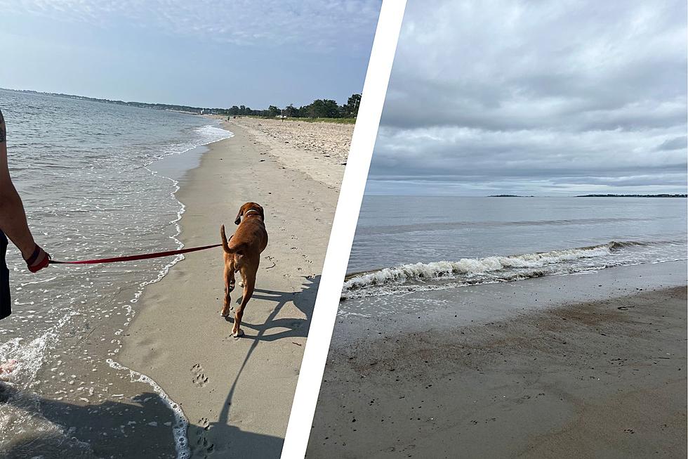 This Saco, Maine, Beach Amazingly Allows Dogs All Day Long