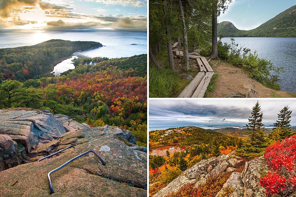 Popular Maine National Park Trail Network Named One of the Best in America