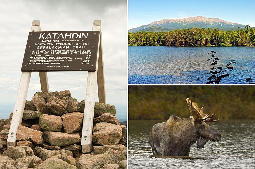 Is Maine's Largest Park Also Its Best? Popular Site Says Yes