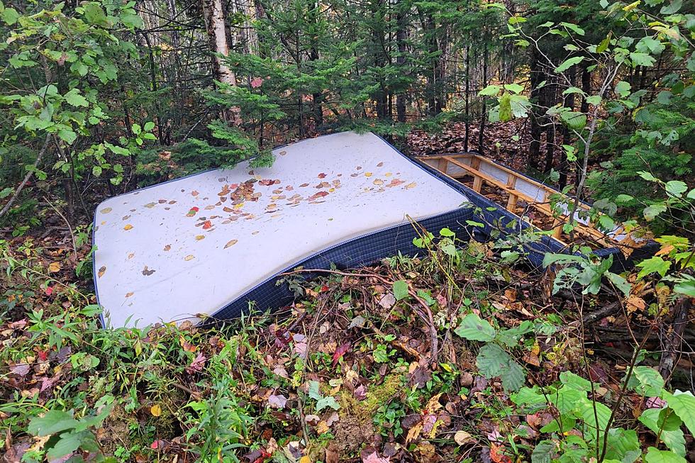 ‘Careless and Disrespectful': Maine Forest Rangers Ask for Help Finding This Bed Dumper