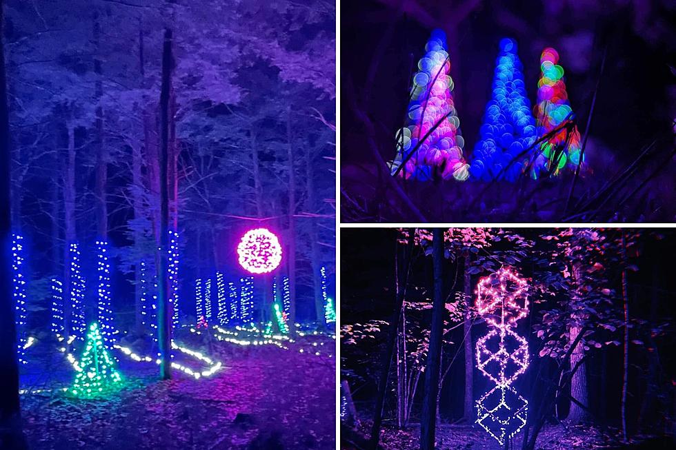 Stroll Through a Winter Wonderland in Lebanon, Maine, on an Illuminated Holiday Night Walk