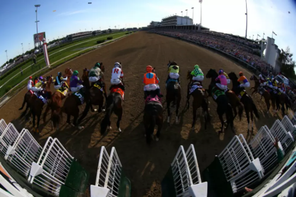 Horses, Post Positions And Puppy Predictions For The 2015 Kentucky Derby