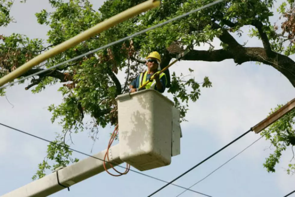 Widespread Power Outage Possibly Caused By Two Men Cutting Down A Tree