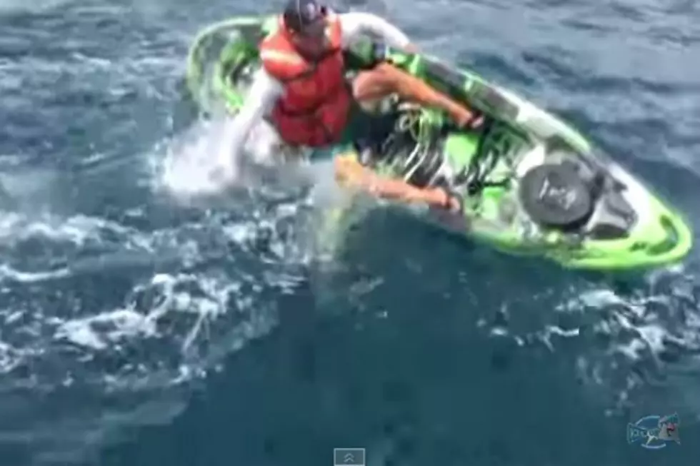 Fisherman Catches The Shark That Capsized His Kayak [VIDEO]