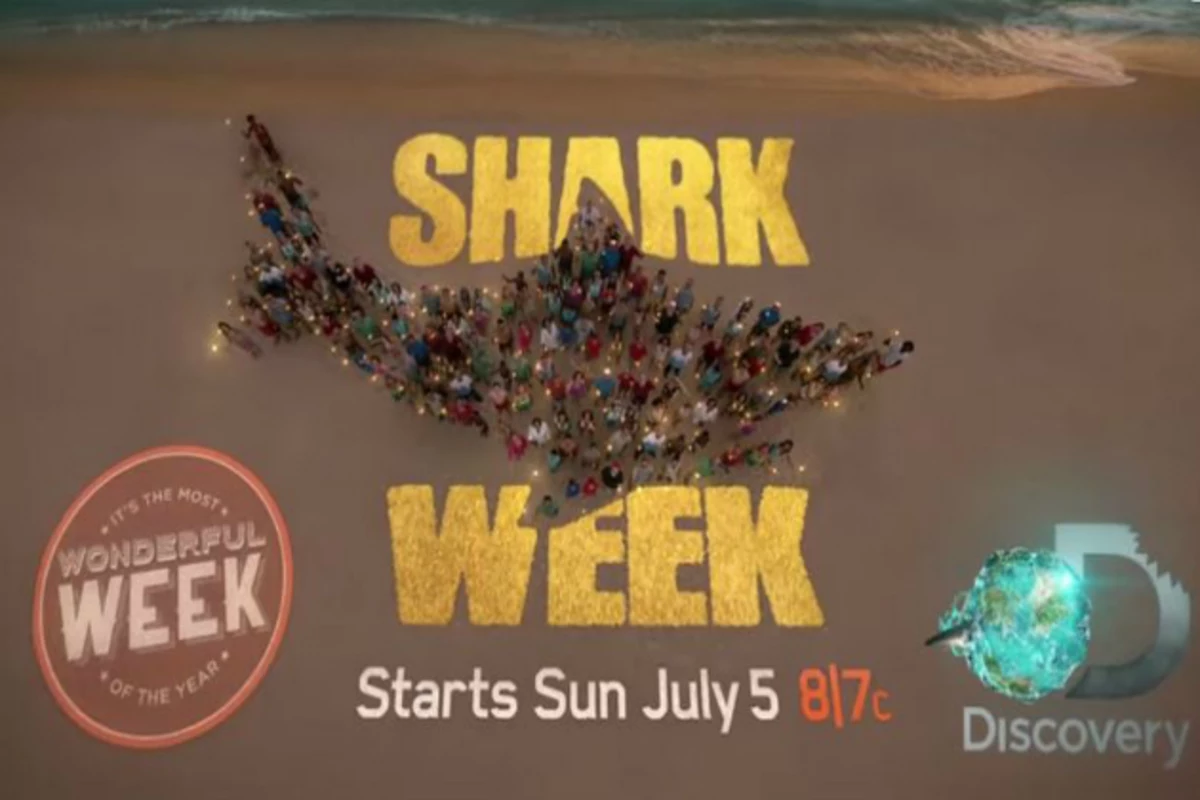 Plan Your Shark Week On Discovery Channel With This Schedule