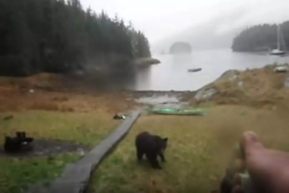 This Woman Yelling At A Bear To Stop Eating Her Kayak Is Either The Funniest Or Most Annoying Video I’ve Ever Seen [VIDEO]