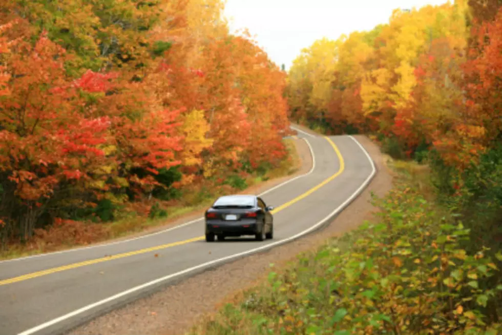 Fall Foliage Tracker Helps Plan Leaf Peeping