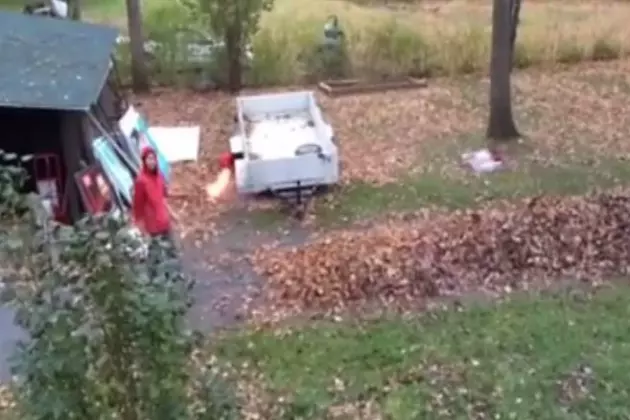 WATCH: Insane Redneck Leaf Removal