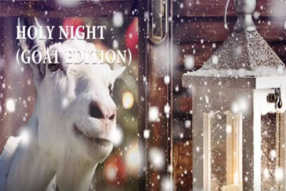 New Holiday Album Features Goats Singing Christmas Carols