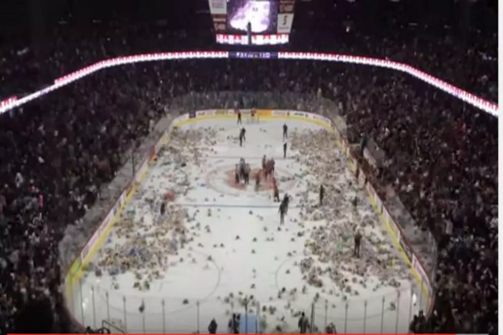 Capture The Christmas Spirit At The Annual Teddy Bear Toss Game In Calgary [VIDEO]