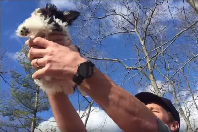 Brady Shows Off New Puppy &#8216;Lion King&#8217; Style [VIDEO]
