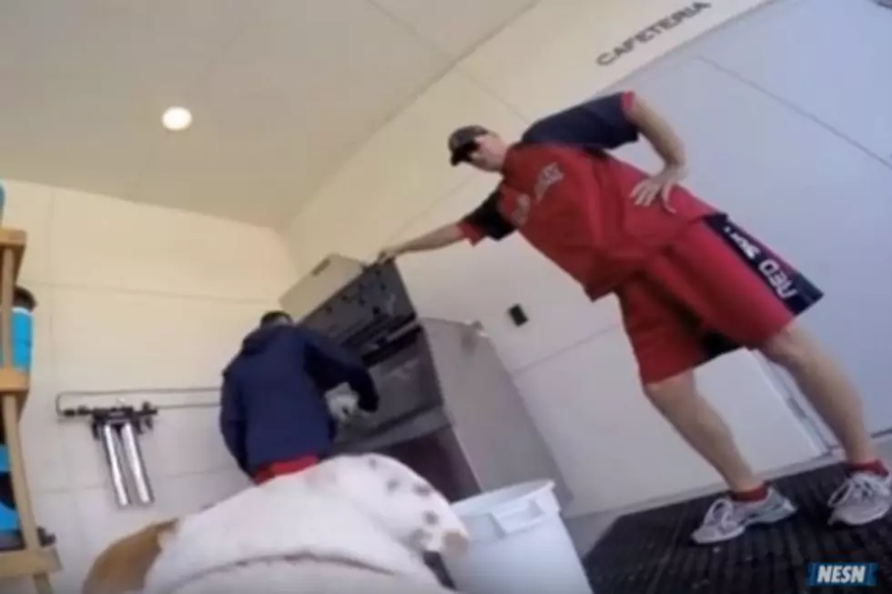 Experience Red Sox Spring Training Through The Eyes Of Homer The Clubhouse Dog [VIDEO]