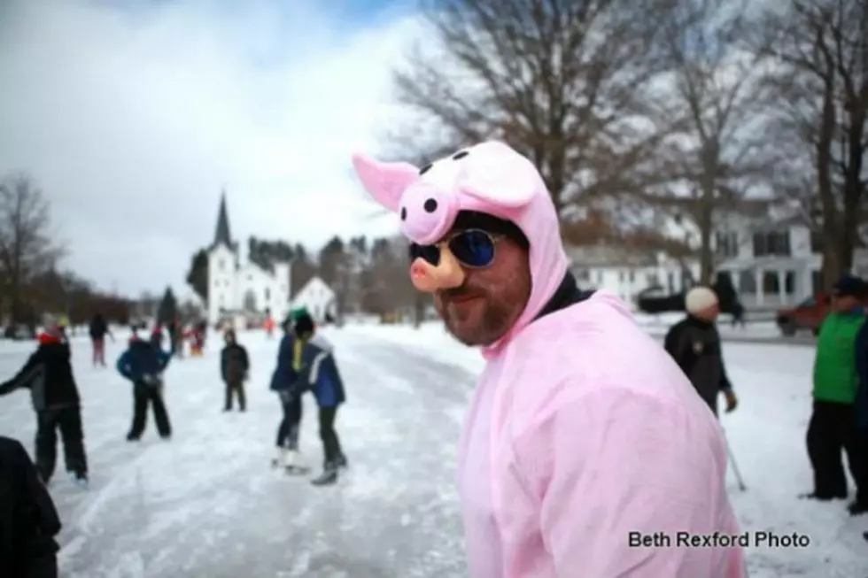 Actual Photos From Controversial &#8216;Pig Scramble&#8217; in Newport NH