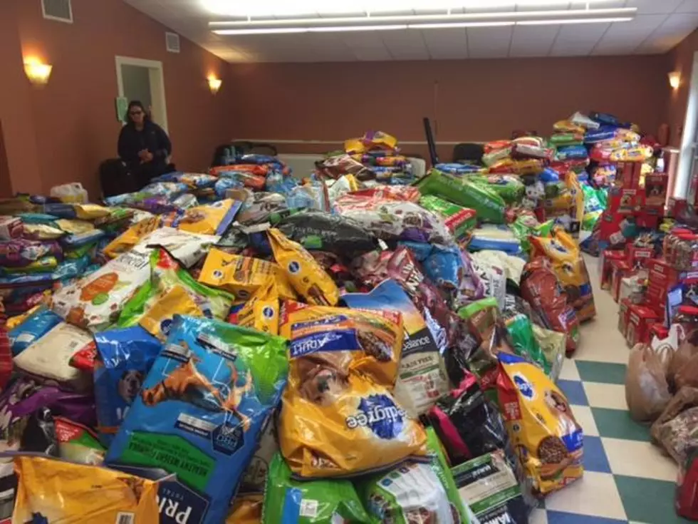 Donations Pour Into Bedford Pet Shelter After Thief Steals 500 Pounds of Pet Food