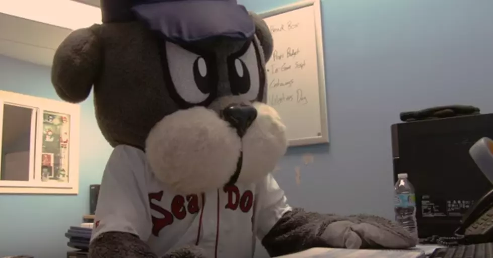Portland Sea Dogs Mascot ‘Slugger’ Has an Off-Season Documentary [VIDEO]