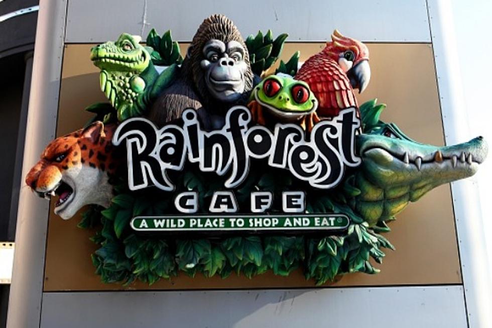Rainforest Cafe is Leaving The Burlington Mall