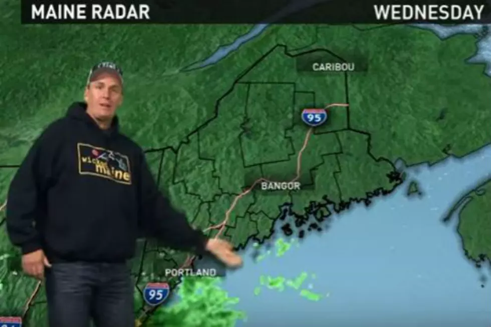 Only In Maine: Marley the Meteorologist