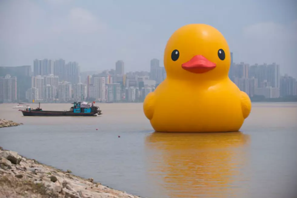 Video of Gigantic Scottish Rubber Duckie Attacking Glasgow