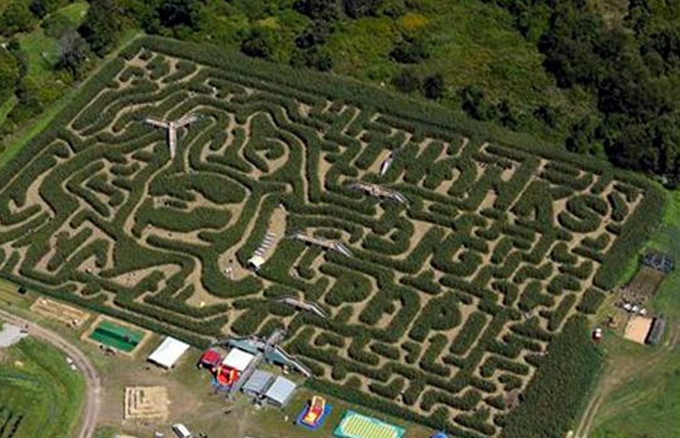 Big Papi Has Officially Transformed Into a Corn Maze